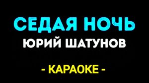 Караоке седая ночь Шатунов со словами