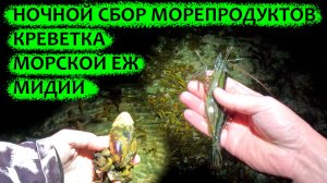 Сбор морепродуктов. Ночная вылазка в море. Поиски осьминога. #Сахалин #морепродукты #крабы #море