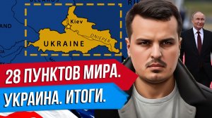 РАЗБОР ВСЕХ 28 ПУНКТОВ МИРНОГО СОГЛАШЕНИЯ ПО УКРАИНЕ. ДМИТРИЙ НИКОТИН.