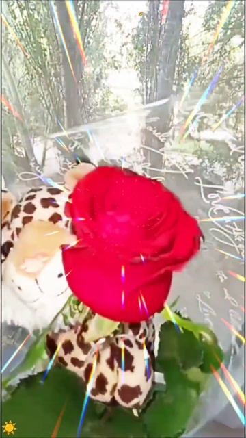 #обзор #мой #вкусный #красивый #завтрак #клубничный #земляничный #роза #событиедня #21июня2025год смотреть онлайн