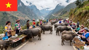 Вьетнамский рынок изнутри: яркая сельская жизнь, традиции и настоящая Азия