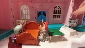 LPS  школа-продлёнка 😻