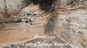 Монастырь Святой Троицы. Хеврон. Главная святыня Мамврийский дуб. Считается, что дубу около 5000 лет