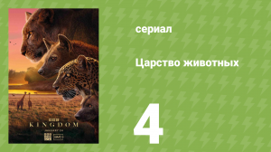 Царство животных 4 серия (документальный сериал, 2025)