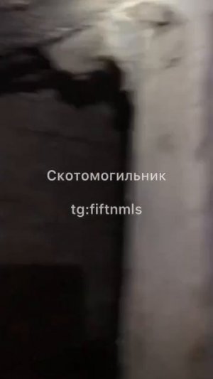 система подготовки ВСУ:- надеть наручники и посадить в погреб