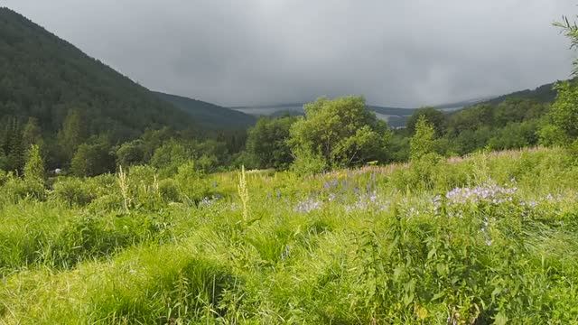 Тропа к Ивановским озёрам (Хакасия). смотреть онлайн