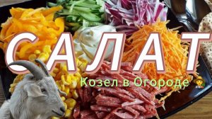 Витаминный Салат  «КОЗЁЛ В ОГОРОДЕ». Пошаговый рецепт вкусного салата