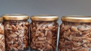 Новогодний салат с опятами АППЕТИТНЫЙ