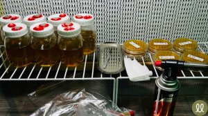 ПИТАТЕЛЬНЫЕ СРЕДЫ: агар-агар для грибов, жидкий мицелий, виды, микология, рефрактометр.