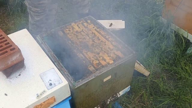 Расширение отводка Бакфаст смотреть онлайн