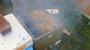 Расширение отводка Бакфаст