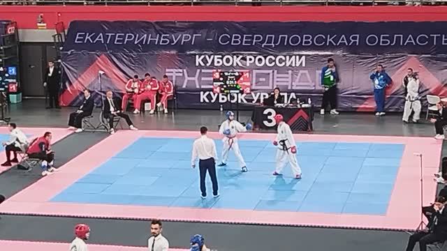 Кубок Демидовых по тхэквондо