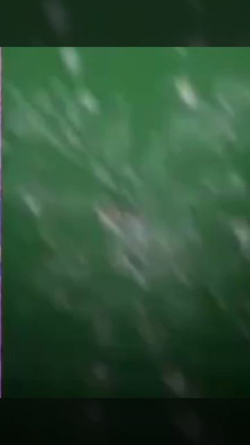 ИКСИ ЗАМЕТЬ И НАПИШИ МНЕ КЕМ МНЕ БЫТЬ ЭДИТОРОМ ИЛИ РОБЛОКСЕРОМ?