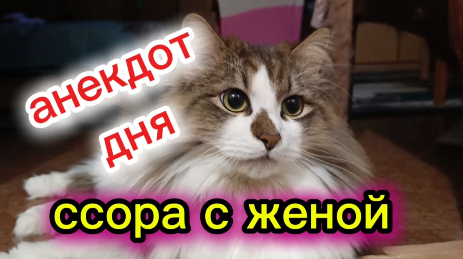 Анекдот дня. смотреть онлайн