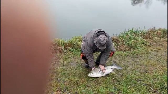 Трофейный ТОЛСТОЛОБИК 22.11.2025г. смотреть онлайн