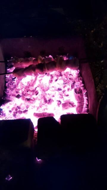 #жизньзагородом #ужин #шашлык