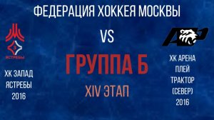 Детский хоккей. ФХМ.Федерация по хоккею. Москва. Ястребы запад. Арена плей трактор.