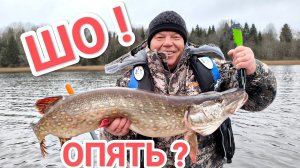 Щука на воблер в ноябре 😎