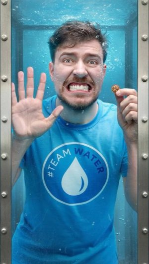 1 Подписчик = 1 Цент Пожертвовано