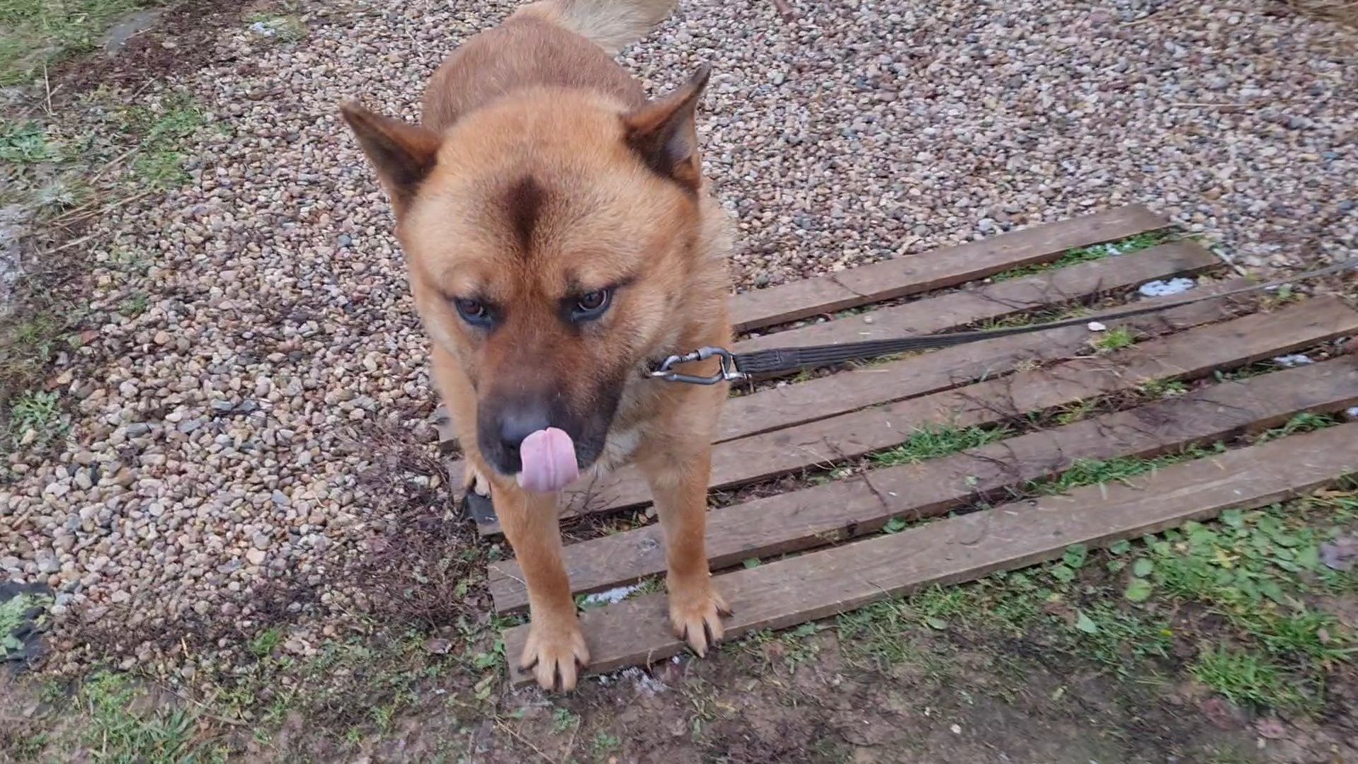 Ноябрьское солнце, отличное настроение и суетный вечер смотреть онлайн