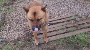 Ноябрьское солнце, отличное настроение и суетный вечер