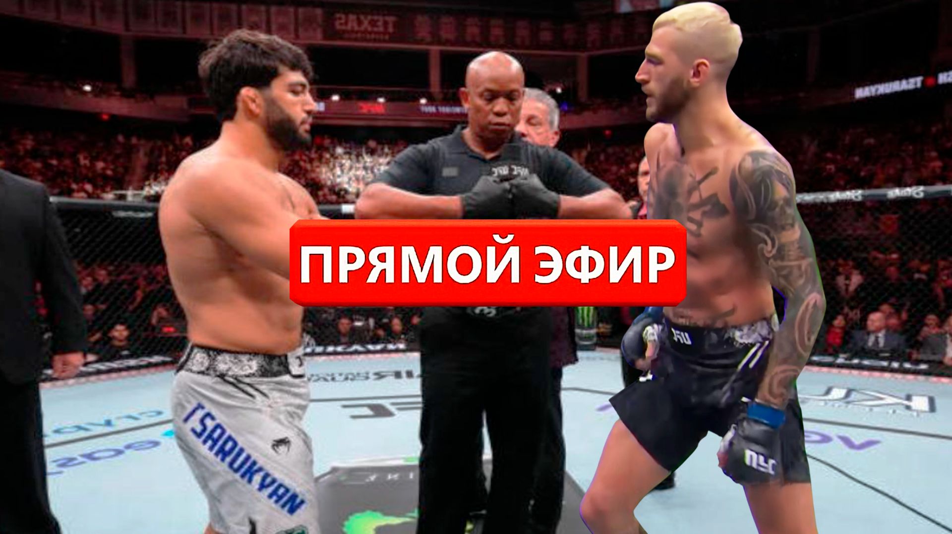 ПОЕХАЛИ! Прямой эфир боя Царукян Хукер юфс катар арман царукян дэн хукер бой нурулло алиев нас будет смотреть онлайн