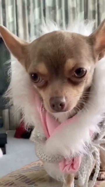 Бриллиантовая рука