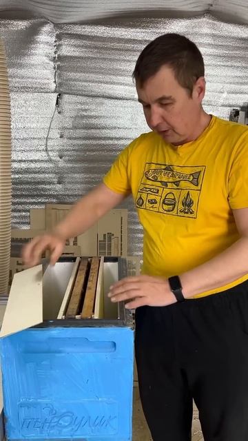 Изолятор для маток #пчёлы #шортс #shorts #пчеловодство #столярка #мед #пчеломатки #матководство смотреть онлайн