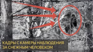 Наконец-то появились секретные кадры с камер слежения за снежным человеком во Флориде!
