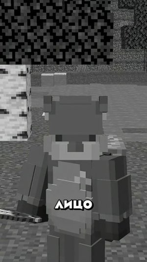 Почему За 15 Лет в Майнкрафте До Сих Пор Только Одно Лицо у Тыквы!