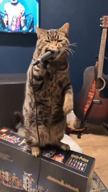 ИИ животные кошка нейросеть читает реп