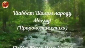 ШАББАТ ШАЛОМ НАРОДУ МОЕМУ! БОЖИЙ ЧЕЛОВЕК - ПРОРОК И АПОСТОЛ ИГОРЬ РОМЕНСКИЙ ПЕРЕДАЁТ ПСАЛМЫ ОТ БОГА!