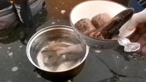 РЫБАЛКА НА ЖЕРЛИЦЫ,БЕЗМОТЫЛКу 2025-2026.Варили УХУ на рыбалке Верх-Нейвинский пруд