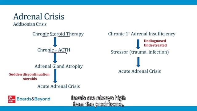 8.Adrenal Insufficiency смотреть онлайн