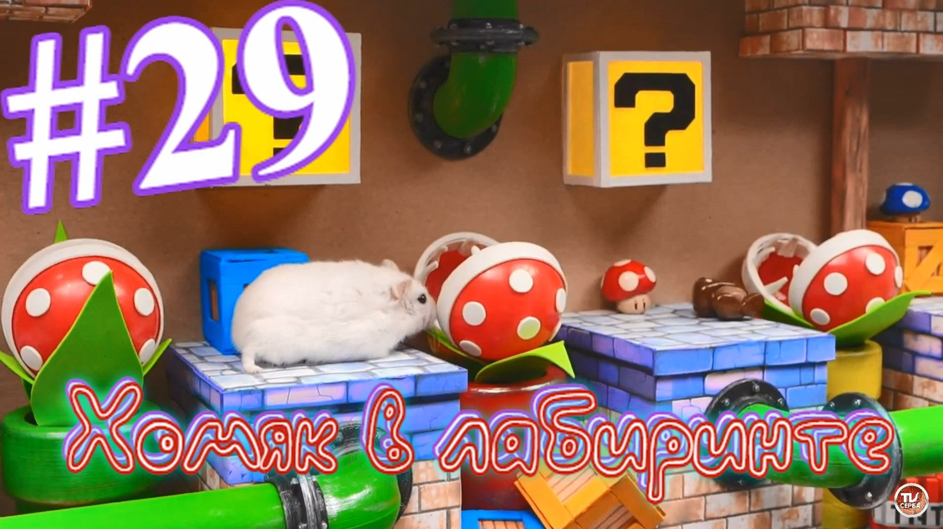 Хомяк в лабиринте (29 серия) смотреть онлайн