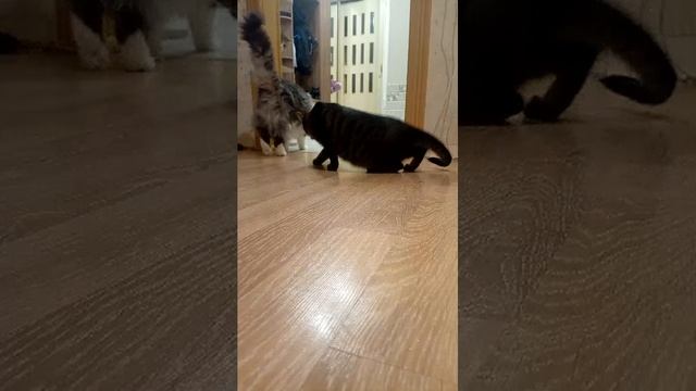 Утреннее шоу смотреть онлайн