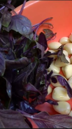 Базилик в консервации смотреть онлайн