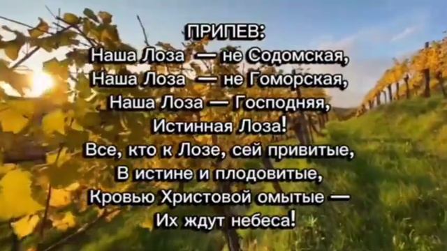 Лоза (караоке) смотреть онлайн