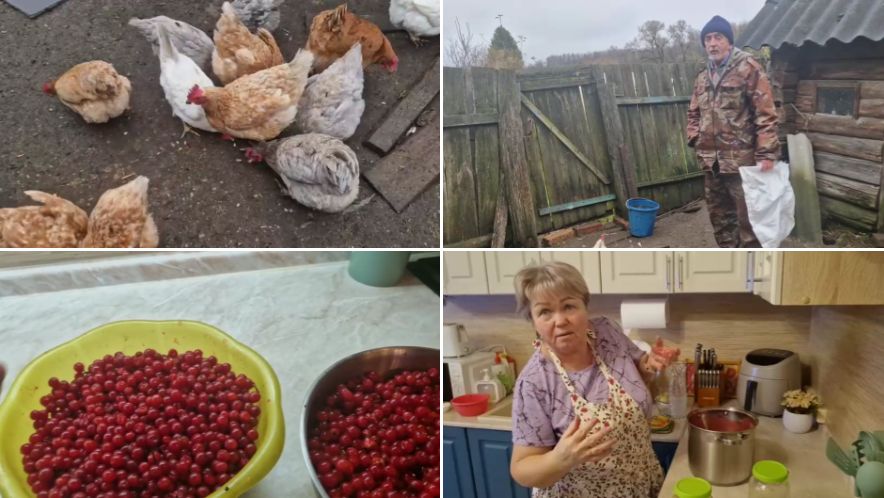 ПЕРЕСЫПАЛИ ПРОСО,УГОСТИЛИ КУРОЧЕК, ДОВЕЛА КАЛИНУ ДО УМА. смотреть онлайн