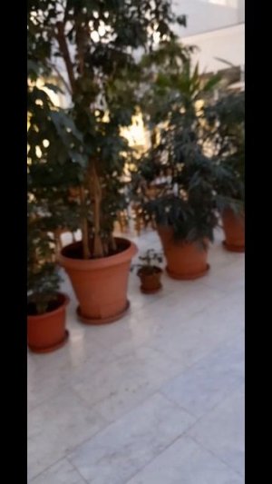 22.11 ВСЕМ ДОБРОЕ БОДРОЕ УТРО ❤️❤️❤️