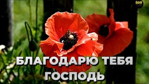 БЛАГОДАРЮ ТЕБЯ ГОСПОДЬ |НОВАЯ Христианская песня