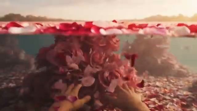 Which Ocean Would You Swim In Satisfying Relaxing AI
