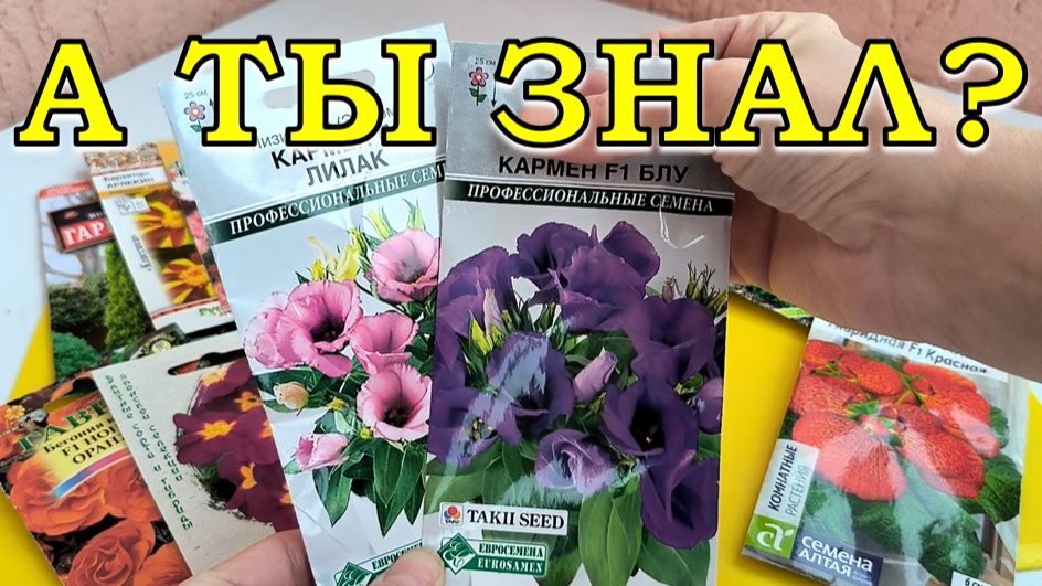 ЭТИ ЦВЕТЫ можно сеять в НОЯБРЕ на рассаду (8 вариантов) смотреть онлайн