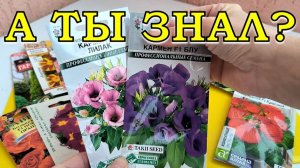 ЭТИ ЦВЕТЫ можно сеять в НОЯБРЕ на рассаду (8 вариантов)