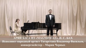 АРИЯ ВАРЯЖСКОГО ГОСТЯ. МУЗЫКА Н. А. РИМСКОГО-КОРСАКОВА. ИСПОЛНЯЕТ ВЛАДИМИР ВАСИЛЬЕВ. 22.11.2024 г.