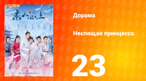 Неспящая принцесса 1 сезон 23 серия