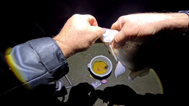 Рыбалка на Кубани вечерний клёв леща 20.11.25. смотреть онлайн