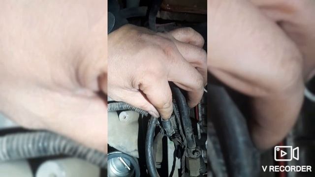 Чери Фора - троит смотреть онлайн