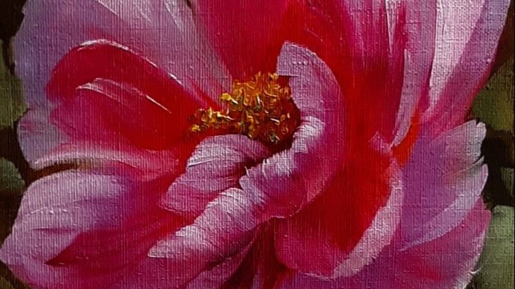 Пион .Живопись маслом смотреть онлайн