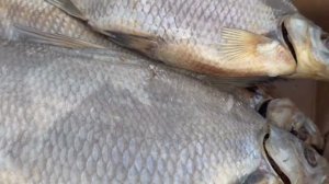 Лещ вяленый крупный